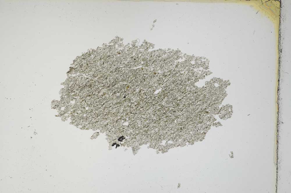 Plane Polarized, S7582