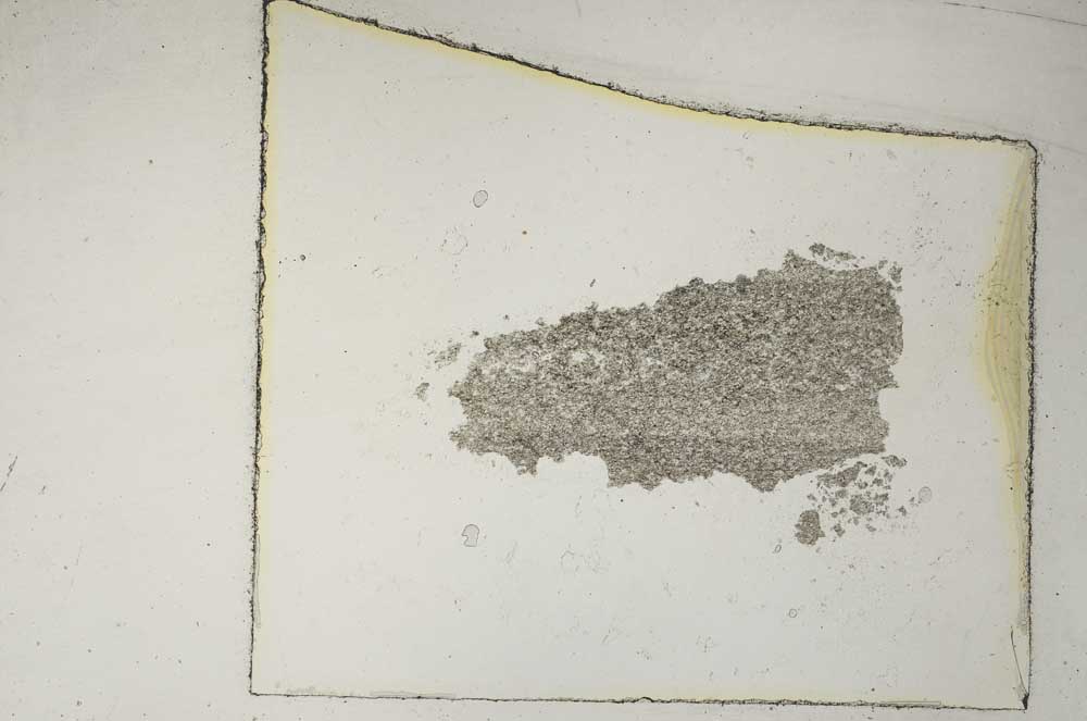 Plane Polarized, S7629