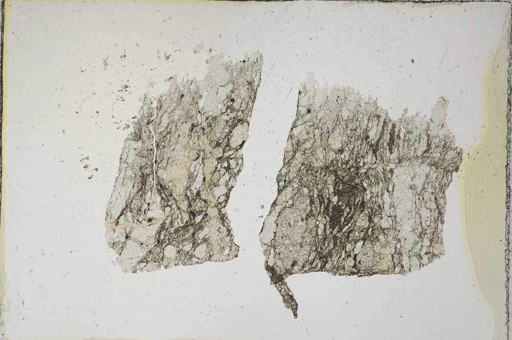 Plane Polarized, S7665