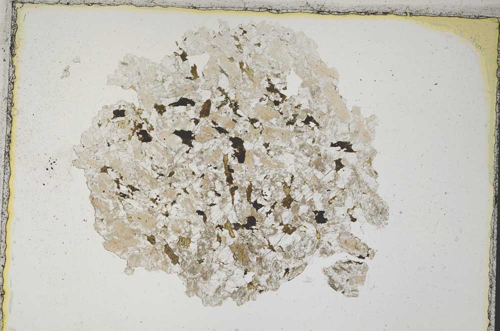 Plane Polarized, S7671