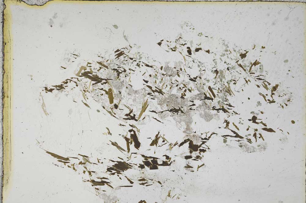 Plane Polarized, S7771