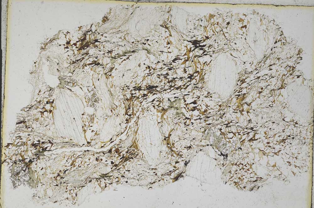 Plane Polarized, S7776