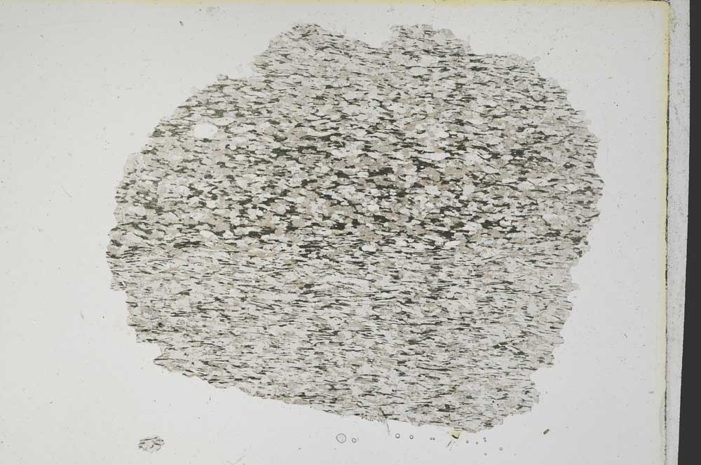 Plane Polarized, S7779