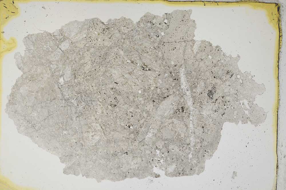 Plane Polarized, S7781