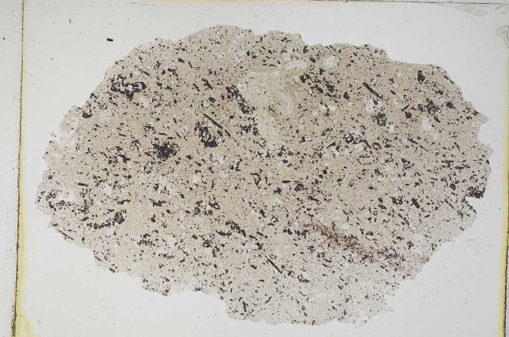 Plane Polarized, S7812