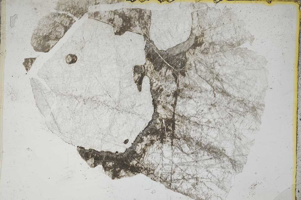 Plane Polarized, S7848