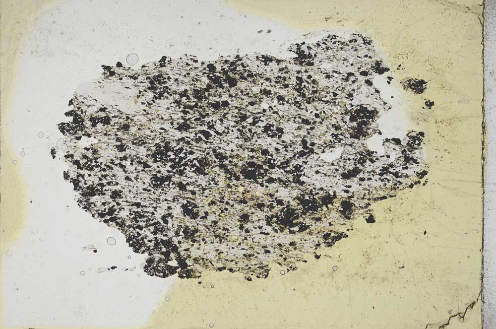 Plane Polarized, S7893