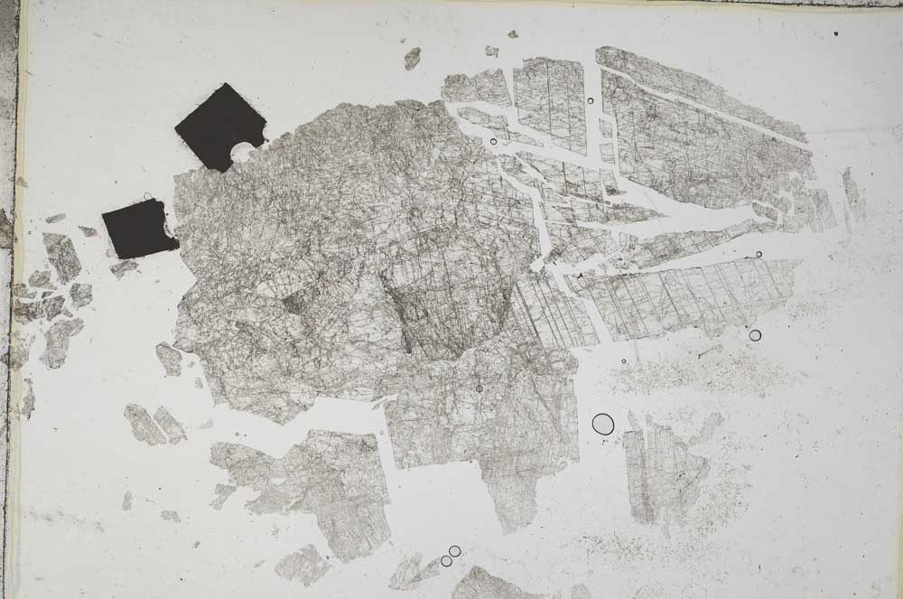 Plane Polarized, S7921