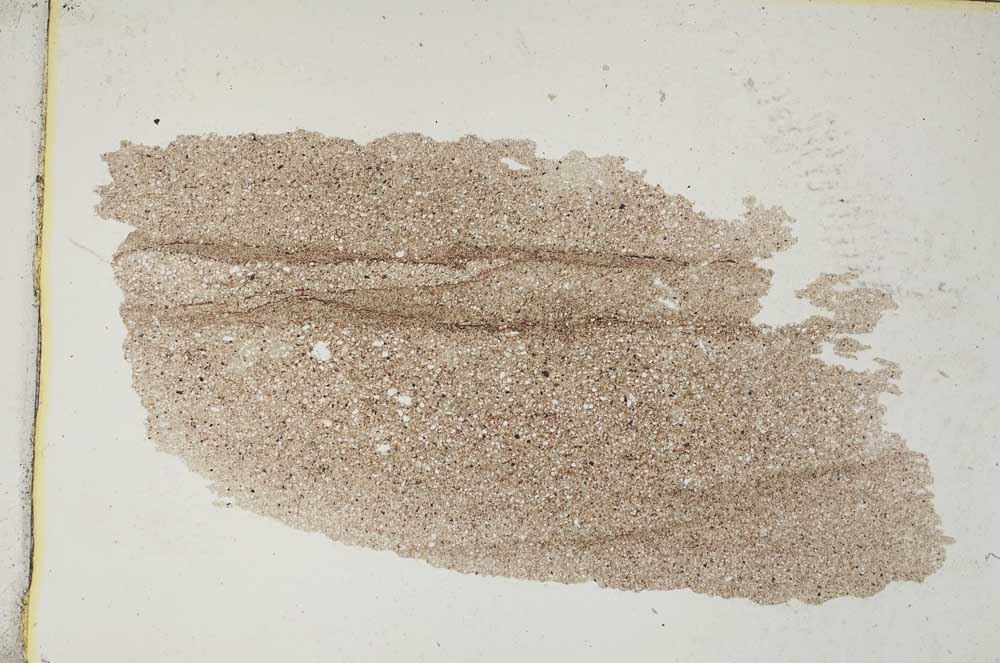 Plane Polarized, S7959/A