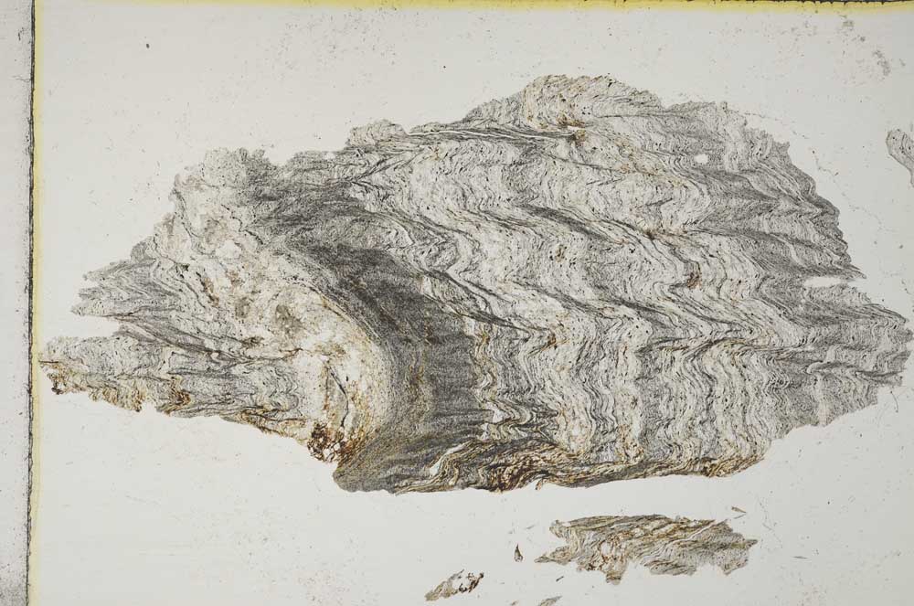 Plane Polarized, S7965