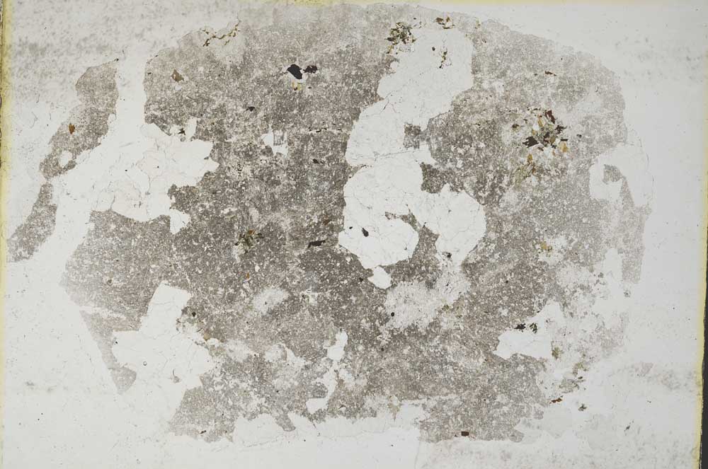 Plane Polarized, S7998