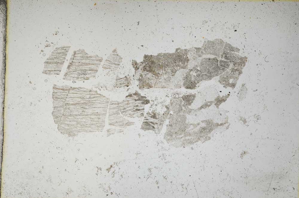 Plane Polarized, S8033
