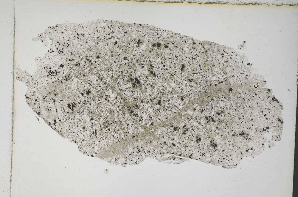 Plane Polarized, S8054