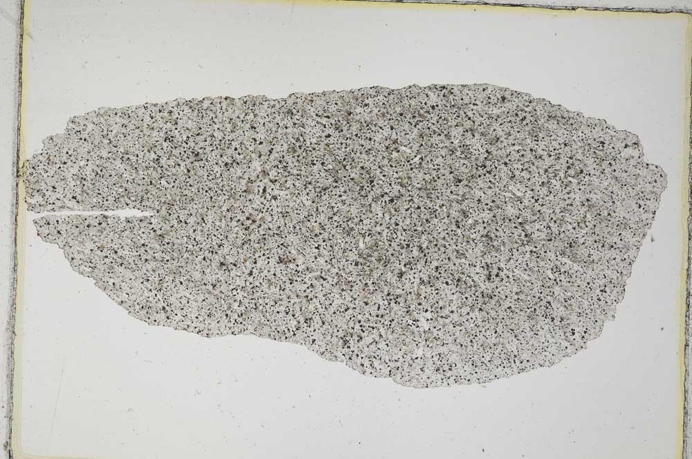 Plane Polarized, S8058