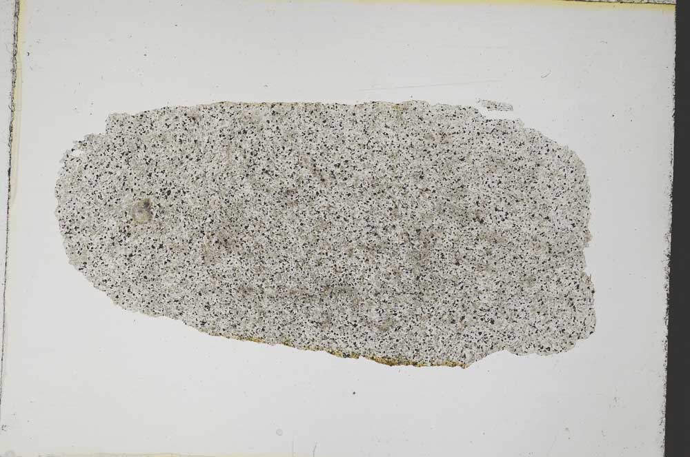 Plane Polarized, S8059