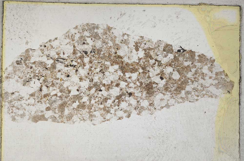 Plane Polarized, S8126