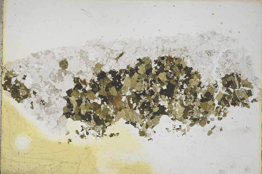 Plane Polarized, S8135