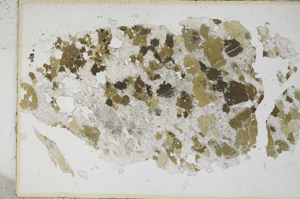 Plane Polarized, S8138