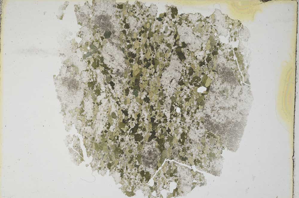 Plane Polarized, S8151