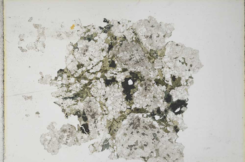 Plane Polarized, S8152
