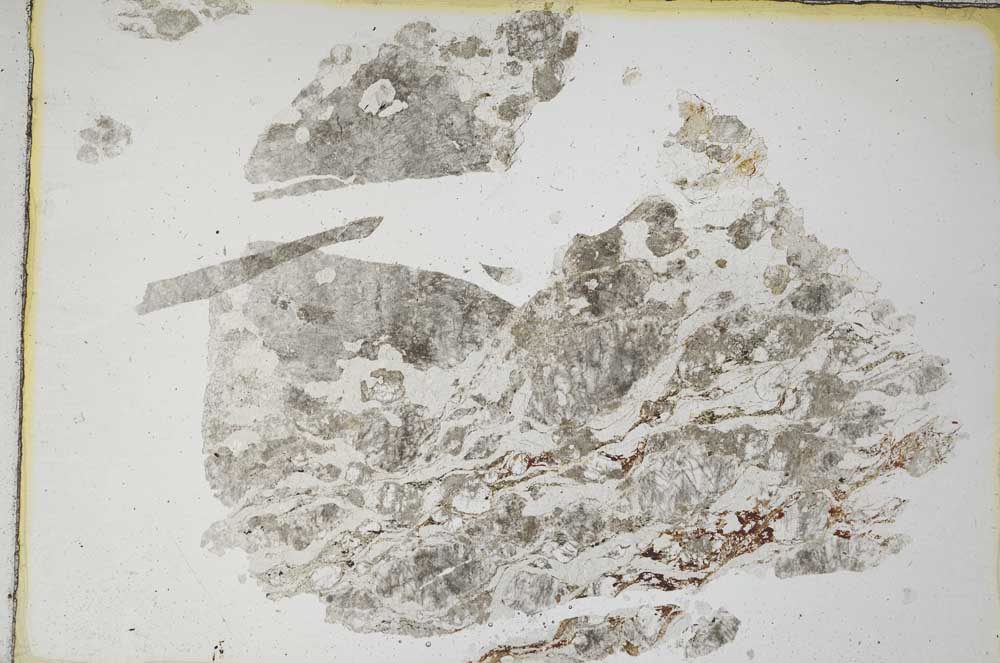 Plane Polarized, S8156