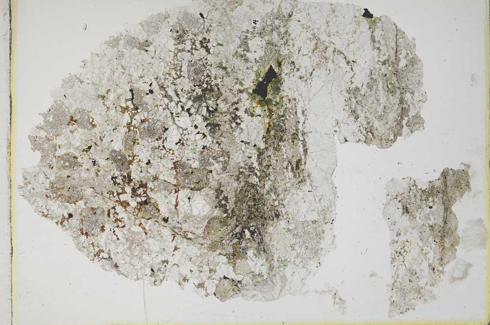 Plane Polarized, S8169