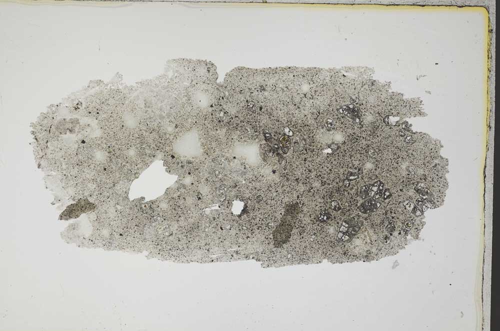 Plane Polarized, S8186