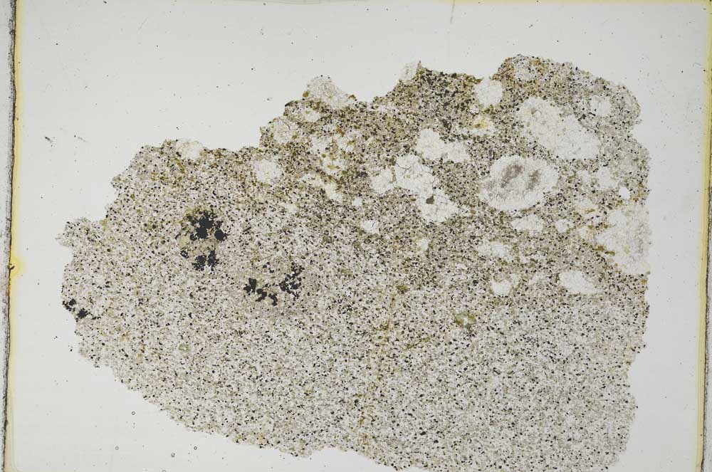 Plane Polarized, S8187