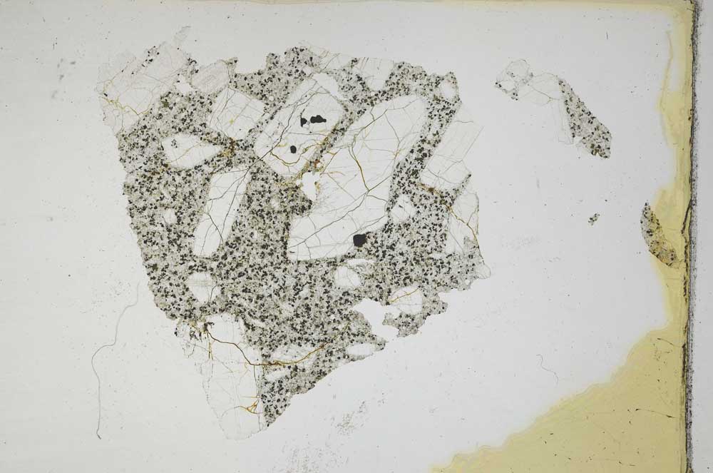 Plane Polarized, S8189