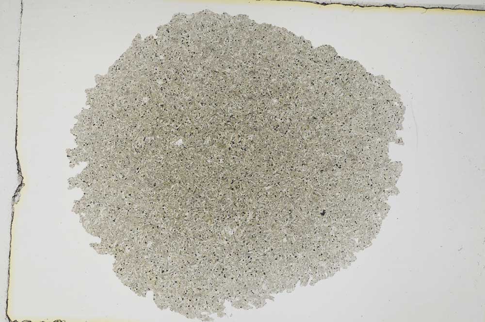 Plane Polarized, S8192