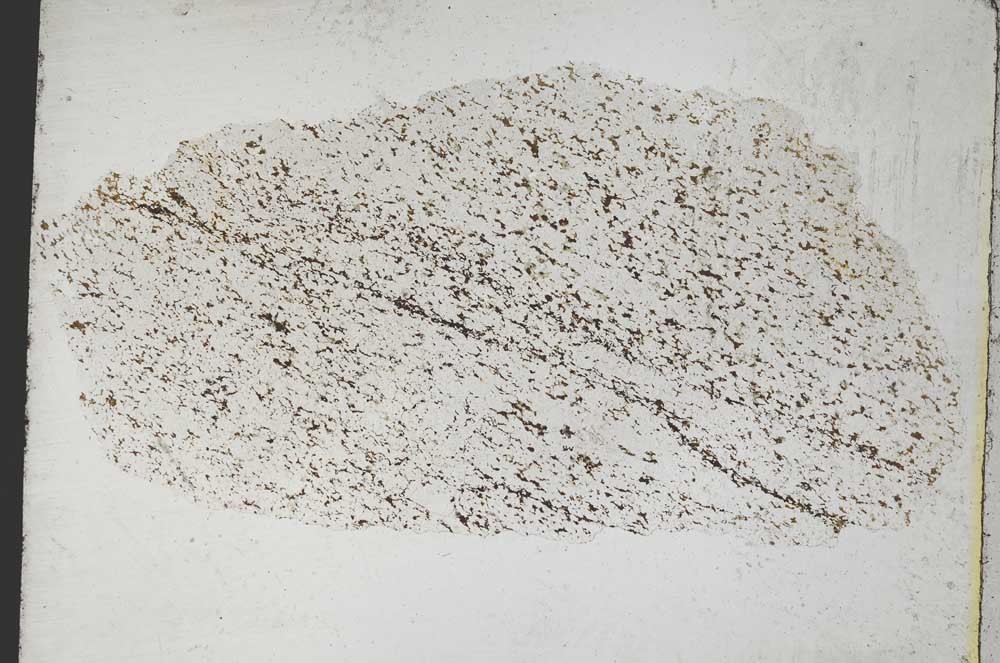 Plane Polarized, S8197