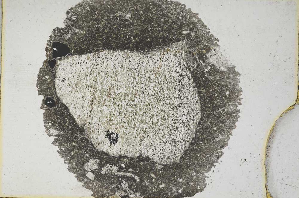 Plane Polarized, S8198/B