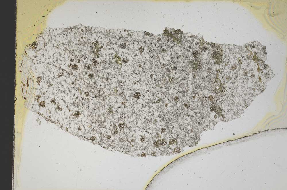 Plane Polarized, S8203