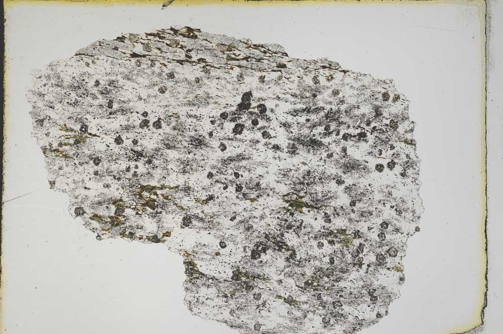 Plane Polarized, S8204