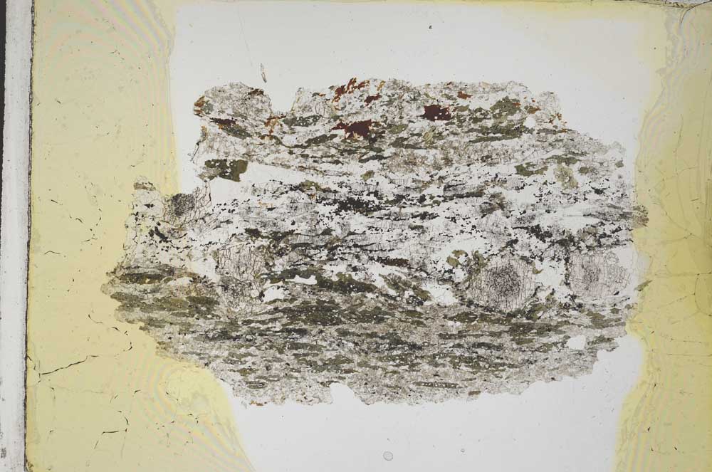 Plane Polarized, S8205