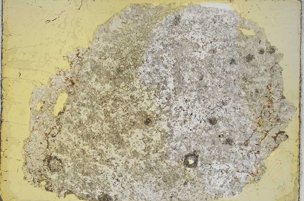 Plane Polarized, S8206