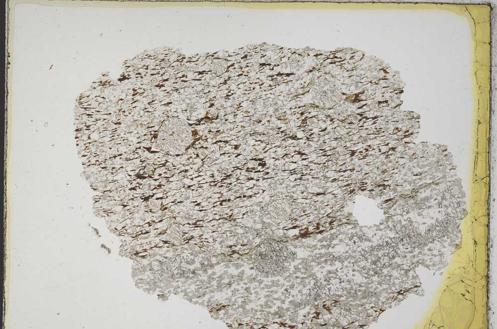 Plane Polarized, S8208