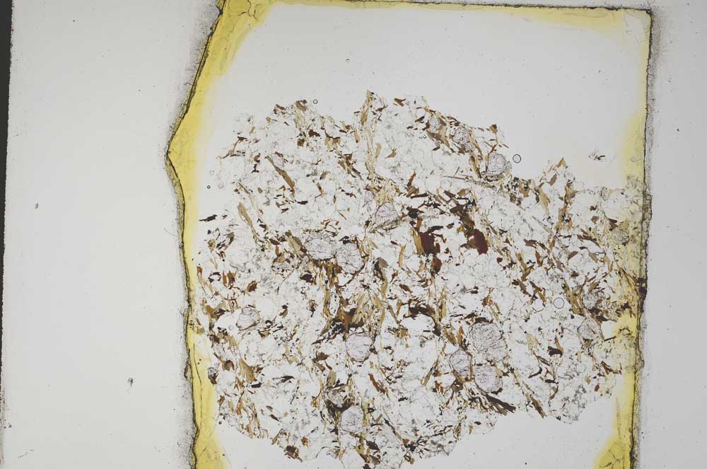 Plane Polarized, S8209