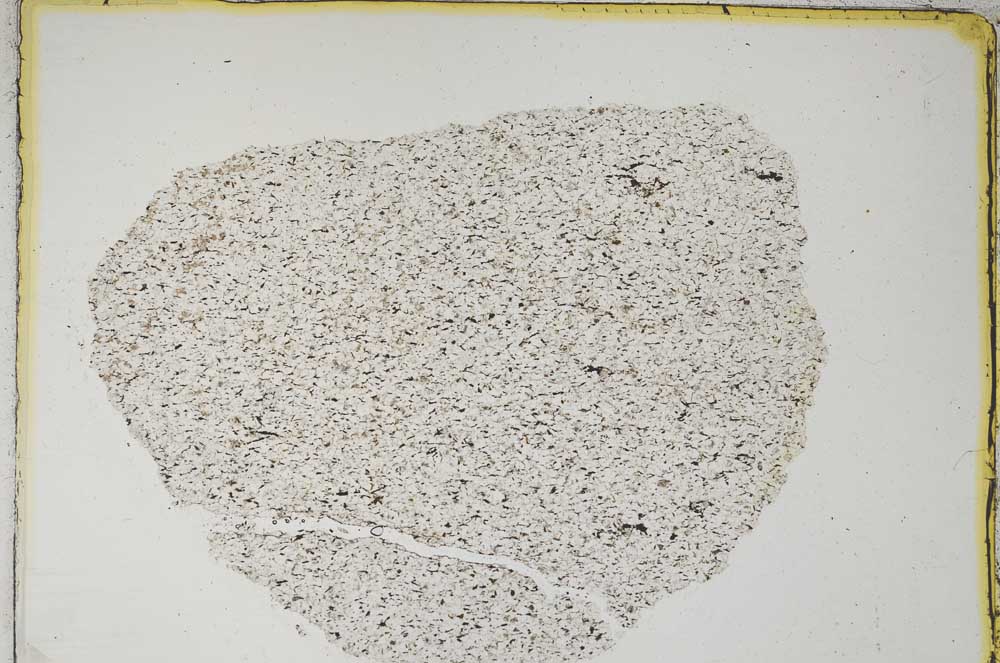 Plane Polarized, S8210