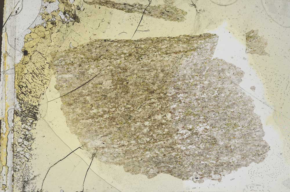 Plane Polarized, S8216
