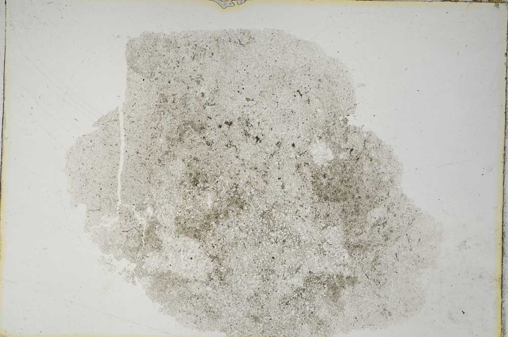 Plane Polarized, S8237