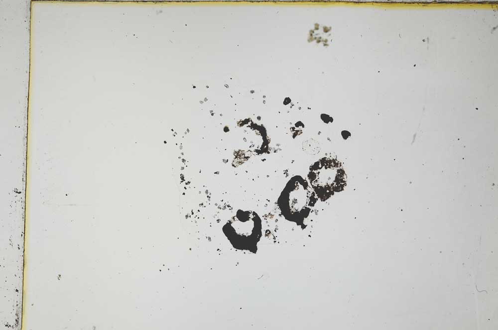 Plane Polarized, S8254/J
