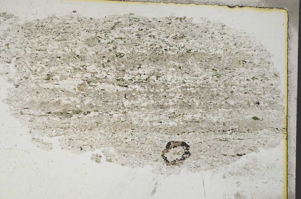Plane Polarized, S8284