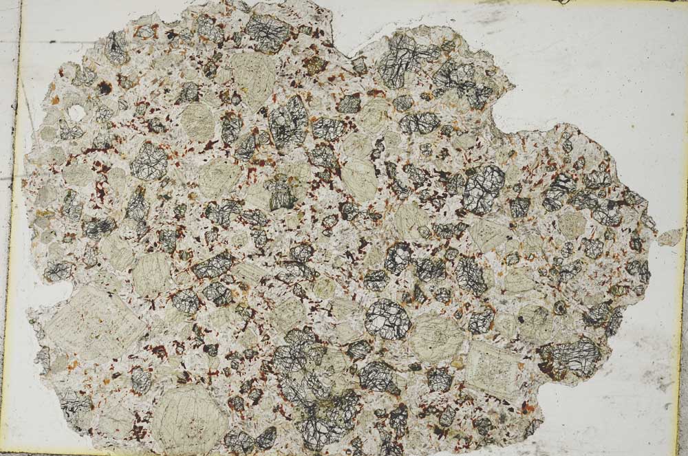 Plane Polarized, S8287