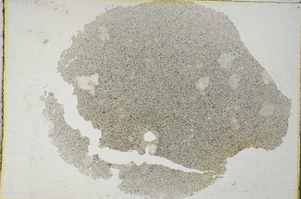 Plane Polarized, S8288