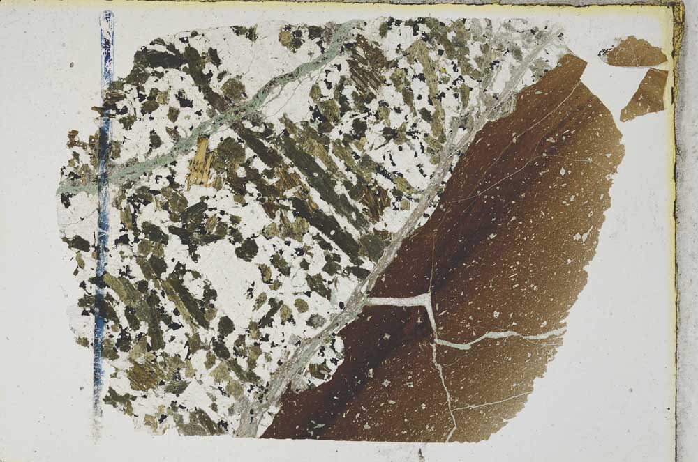 Plane Polarized, S8289