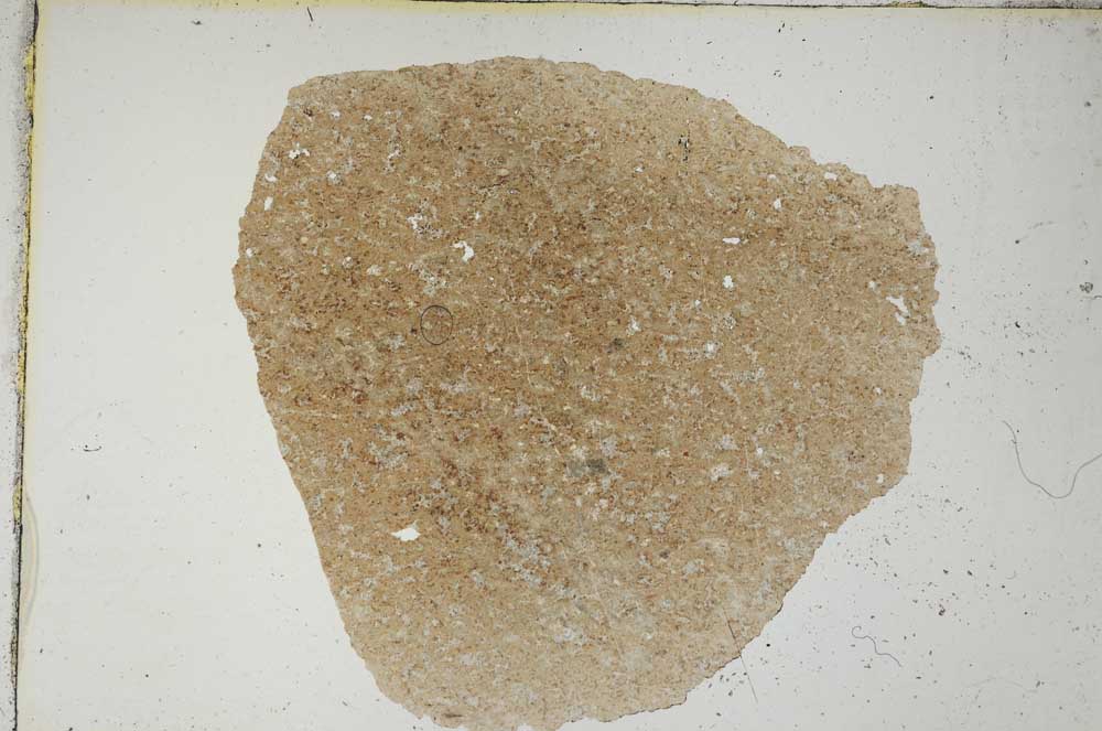 Plane Polarized, S8296