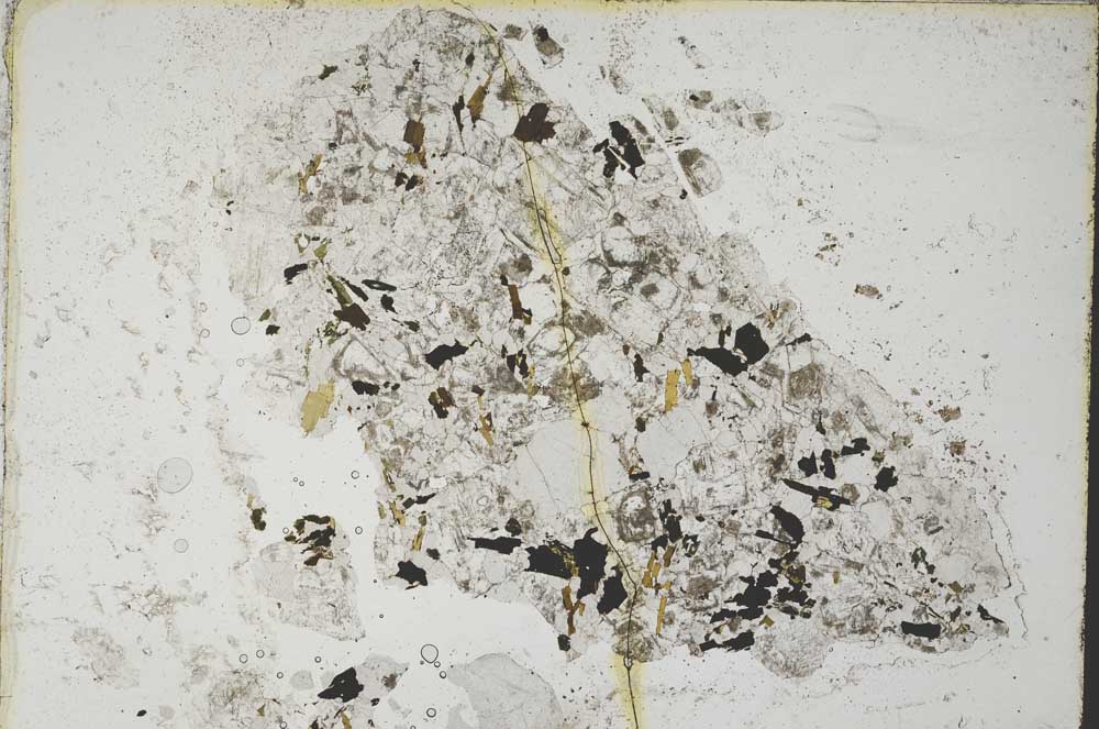 Plane Polarized, S8302