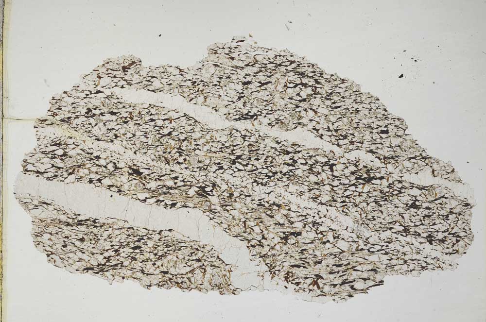 Plane Polarized, S8309