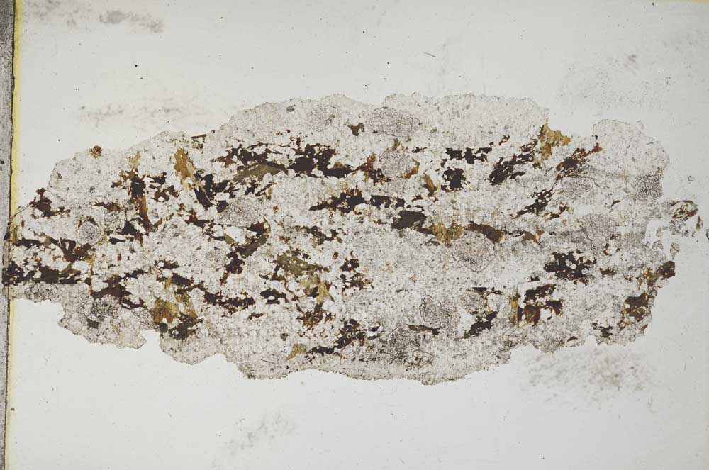 Plane Polarized, S8312